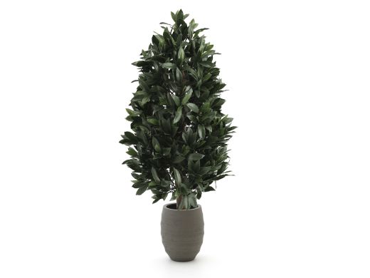 Designplants/Luca Lifestyle Lorbeer Pyramide Kunstpflanze (h:150 cm) mit Bordo Tall Balloon Blumentopf - Grün (UV beständig) (Blumentopf = Clay)