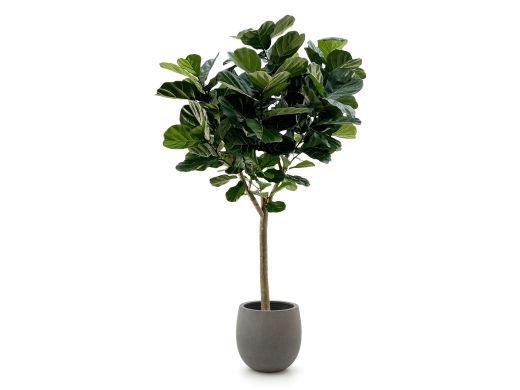 Designplants/Luca Lifestyle Lyrata Y Kunstbaum (h:220 cm) mit Grigio Balloon Blumentopf - Grün (Blumentopf = Natural Concrete)