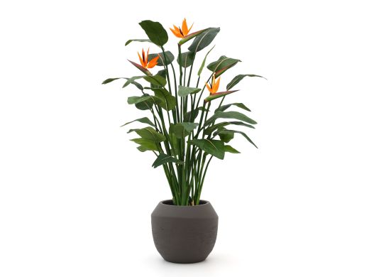 Designplants/Luca Lifestyle Strelitzia Kunstpflanze (h:145 cm) mit Ruvido Combi Blumentopf - Orange (Blumentopf = Ash Brown)