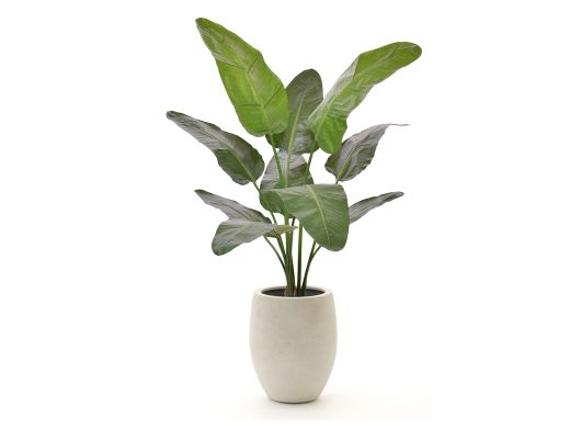 Designplants/Luca Lifestyle Strelitzia Nicolai Kunstpflanze (h:145 cm) mit Grigio Tall Balloon Blumentopf - Grün (Blumentopf = Antique White)