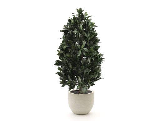 Designplants/Luca Lifestyle Lorbeer Pyramide Kunstpflanze (h:150 cm) mit Grigio New Egg Blumentopf - Grün (UV beständig) (Blumentopf = Antique White)