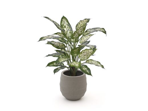 Designplants/Luca Lifestyle Dieffenbachia Kunstpflanze (h:60 cm) mit Bordo Balloon Blumentopf - Grün (Blumentopf = Clay)