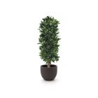 Designplants/Luca Lifestyle Lorbeer Säule Kunstpflanze (h:125 cm) mit Terreno New Egg Blumentopf