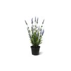 Designplants Lavendel Kunstpflanze (h: 50 cm)