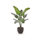Designplants/Luca Lifestyle Strelitzia Nicolai Kunstpflanze (h:145 cm) mit Terreno New Egg Blumentopf