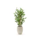 Designplants/Luca Lifestyle Japanischer Bambus Kunstpflanze (h:90 cm) mit Grigio Tall Balloon Blumentopf