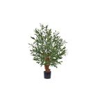 Designplants Oliven-Bonsai Kunstpflanze (h: 90 cm)