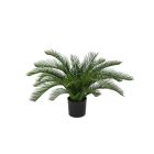 Designplants Cycas-Palme Kunstpflanze (h: 60 cm)