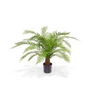 Designplants Alsophillia Farn Kunstpflanze (h: 80 cm)