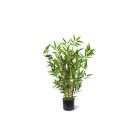 Designplants Japanischer Bambus Kunstpflanze (h: 60 cm)