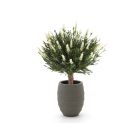 Designplants/Luca Lifestyle Lavendel Kugel Kunstpflanze (h:60 cm) mit Bordo Tall Balloon Blumentopf