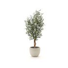 Designplants/Luca Lifestyle Oliven Kunstbaum (h:150 cm) mit Grigio New Egg Blumentopf