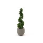 Designplants/Luca Lifestyle Buxus Spirale Kunstbaum (h:100 cm) mit Bordo Balloon Blumentopf
