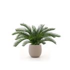 Designplants/Luca Lifestyle Cycas Palme Kunstpflanze (h:60 cm) mit Terreno Tall Balloon Blumentopf