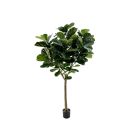 Designplants Lyrata Y Kunstbaum (h: 220 cm)