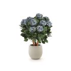 Designplants/Luca Lifestyle Hortensie Kunstpflanze (h:80 cm) mit Grigio Balloon Blumentopf
