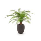 Designplants/Luca Lifestyle Alsophillia Farn Kunstpflanze (h:80 cm) mit Terreno Tall Balloon Blumentopf - Grün (UV beständig) (Blumentopf = Ash Brown)