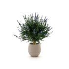 Designplants/Luca Lifestyle Lavendel Kugel Kunstpflanze (h:60 cm) mit Bordo Balloon Blumentopf