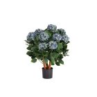 Designplants Hortensie Kunstpflanze (h: 80 cm)