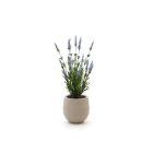 Designplants/Luca Lifestyle Lavendel Kunstpflanze (h:50 cm) mit Bordo Balloon Blumentopf