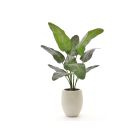 Designplants/Luca Lifestyle Strelitzia Nicolai Kunstpflanze (h:145 cm) mit Grigio Tall Balloon Blumentopf