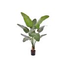 Designplants Strelitzia Nicolai Kunstpflanze (h: 145 cm)