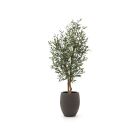 Designplants/Luca Lifestyle Oliven Kunstbaum (h:150 cm) mit Terreno Tall Balloon Blumentopf