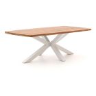 Bellagio Induno Dänisch oval Gartentisch 220x110 cm