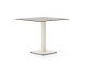 Forza Orta Gartentisch 70x70x73 cm