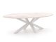 Bellagio Induno Ellips Gartentisch 200x110 cm