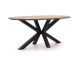 ROUGH-Y Ellips Gartentisch 240x120 cm