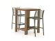 Apple Bee Hawaii/ROUGH-X 80 cm Gartenbar-Set 3-teilig