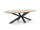 ROUGH-Y Ellips Gartentisch 200x110 cm