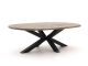 Bellagio Induno Ellips Gartentisch 240x120 cm