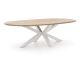 ROUGH-Y Ellips Gartentisch 280x130 cm