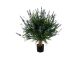 Designplants Lavendel Kugel Kunstpflanze (h: 60 cm)