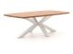 Bellagio Induno Dänisch oval Gartentisch 220x110 cm