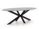 Bellagio Furato ellips Gartentisch 240x120cm