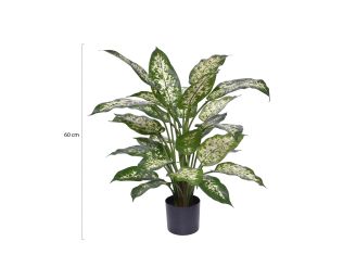 Designplants Dieffenbachia Kunstpflanze (h: 60 cm) - Grün für Topfgröße S