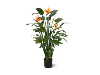 Designplants/Luca Lifestyle Strelitzia Kunstpflanze (h:145 cm) mit Grigio Tall Balloon Blumentopf - Orange (Blumentopf = Antique White)