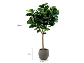 Designplants/Luca Lifestyle Lyrata Y Kunstbaum (h:220 cm) mit Grigio Balloon Blumentopf - Grün (Blumentopf = Natural Concrete)