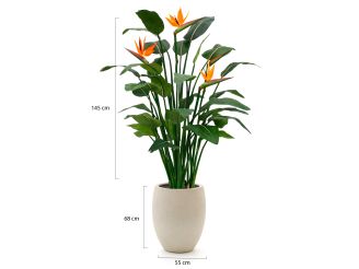 Designplants/Luca Lifestyle Strelitzia Kunstpflanze (h:145 cm) mit Grigio Tall Balloon Blumentopf - Orange (Blumentopf = Antique White)