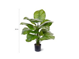 Designplants Calathea Fasciata Kunstpflanze (h: 70 cm) - Grün für Topfgröße S