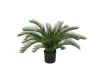 Designplants/Luca Lifestyle Cycas Palme Kunstpflanze (h:60 cm) mit Terreno Tall Balloon Blumentopf - Grün (UV beständig) (Blumentopf = Sand)