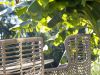 Intenso Asti Gartenstuhl - Taupe - Beige - Braun - Polyrattan