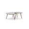 Manifesto Caldarola Loungetisch-Set 2-teilig