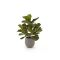 Designplants/Luca Lifestyle Lyrata Kunstpflanze (h:45 cm) mit Bordo Balloon Blumentopf