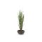 Designplants/Luca Lifestyle Riedgras Kunstpflanze (h:165 cm) mit Terreno Bowl Blumentopf - Grün (UV beständig) (Blumentopf = Ash Brown)