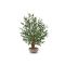 Designplants/Luca Lifestyle Oliven Bonsai Kunstpflanze (h:90 cm) mit Terreno Bowl Blumentopf