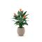 Designplants/Luca Lifestyle Strelitzia Kunstpflanze (h:115 cm) mit Bordo Balloon Blumentopf